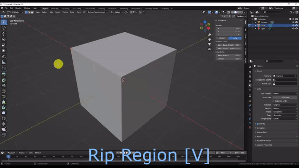 RIP region